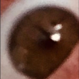 Meet your Posher, Travis